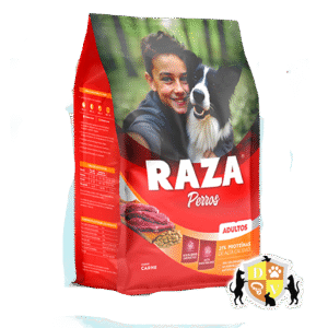 Raza Perro Adulto Carne 21 Kg.